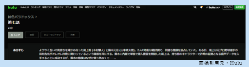 ドラマ　飴色パラドックス　無料動画配信